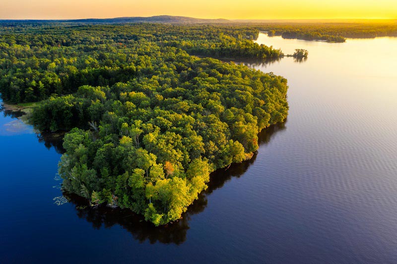 amazônia